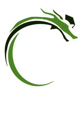 Balance Method Therapy Clinic — Dragon Logo
